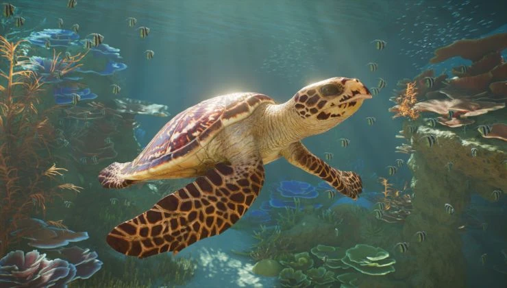 Planet Zoo 2 announced to release in October with a deeper conservation focus
