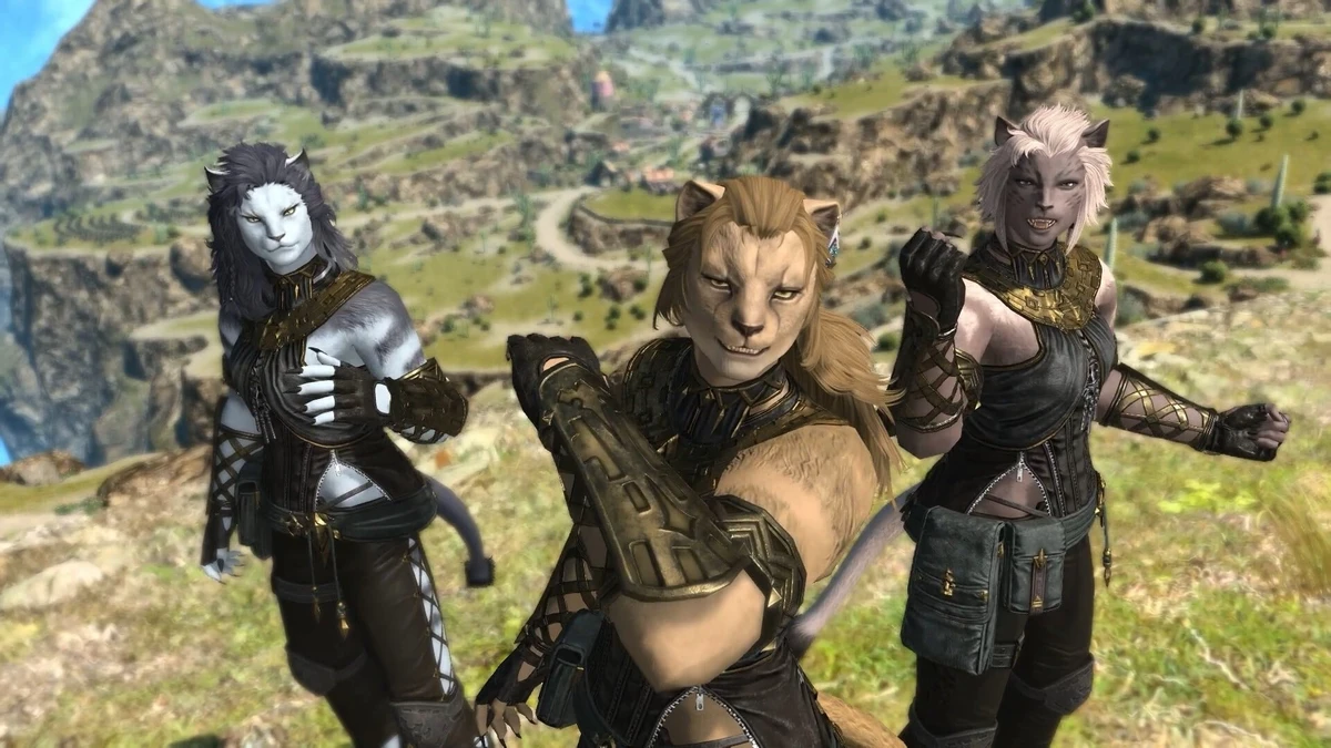 Final Fantasy XIV Online For Switch 2 Able To Reach "30fps In A Stable State"